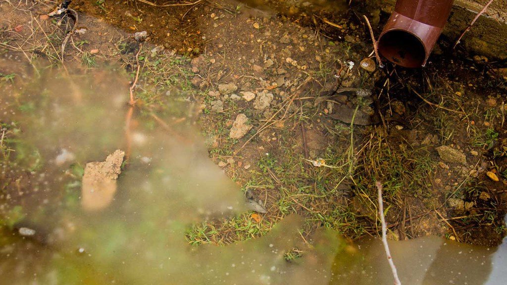 Pooling water on the ground near a downspout