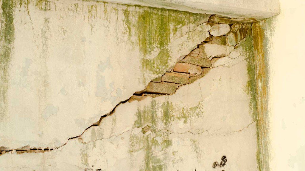 House mold on cracked foundation