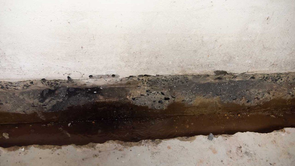 Exposed mold in home