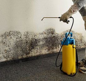 Dry Tech Waterproofing Solutions