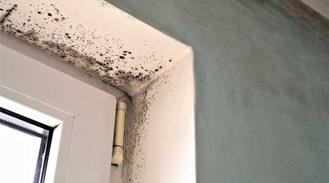 Mold forming between door jam and wall