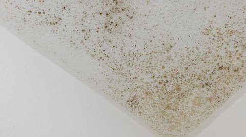 Moisture damage on ceiling