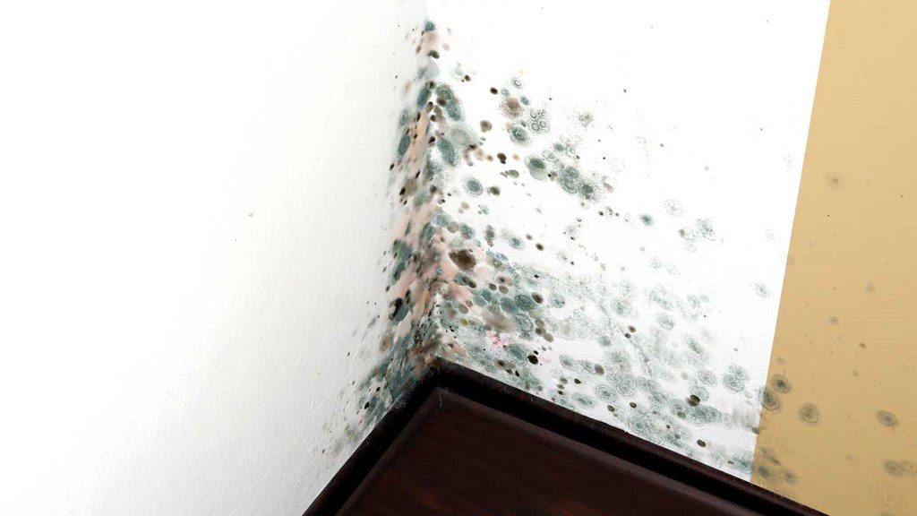 Water damage forming in corners of walls
