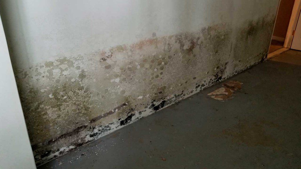  Buildup of moisture, mold and mildew on wall