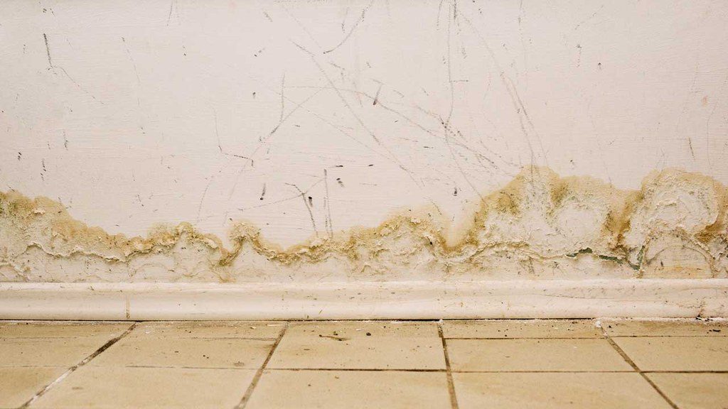 Water damage on wall