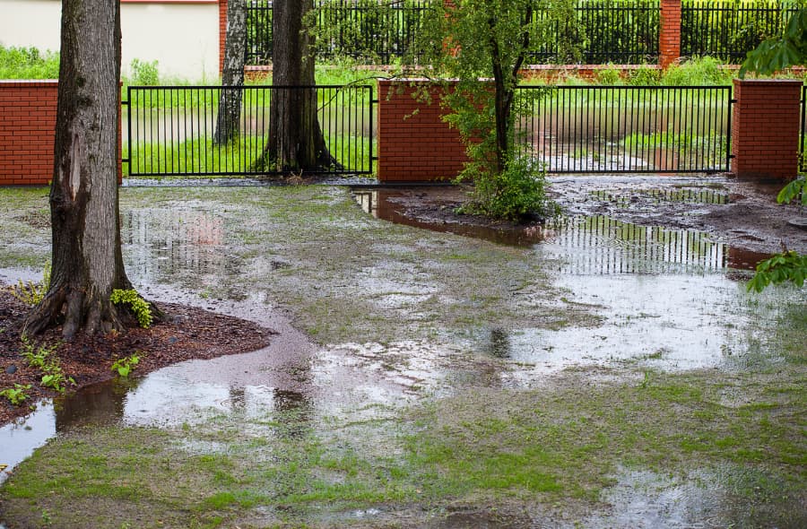 A flooded yard