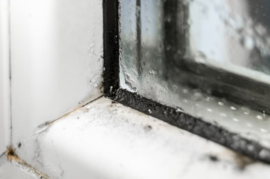 Condensation and mold on a window during winter months