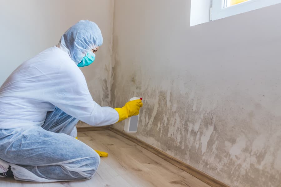 Professional removing mold from wall using spray bottle and wearing protective gear