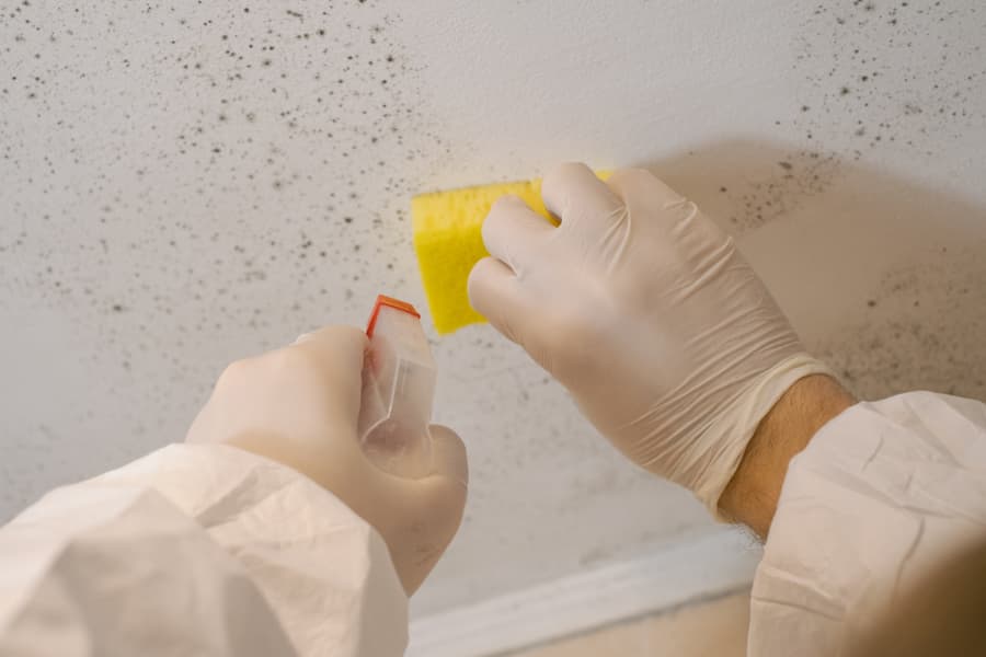 Worker cleaning mold from wall with sponge