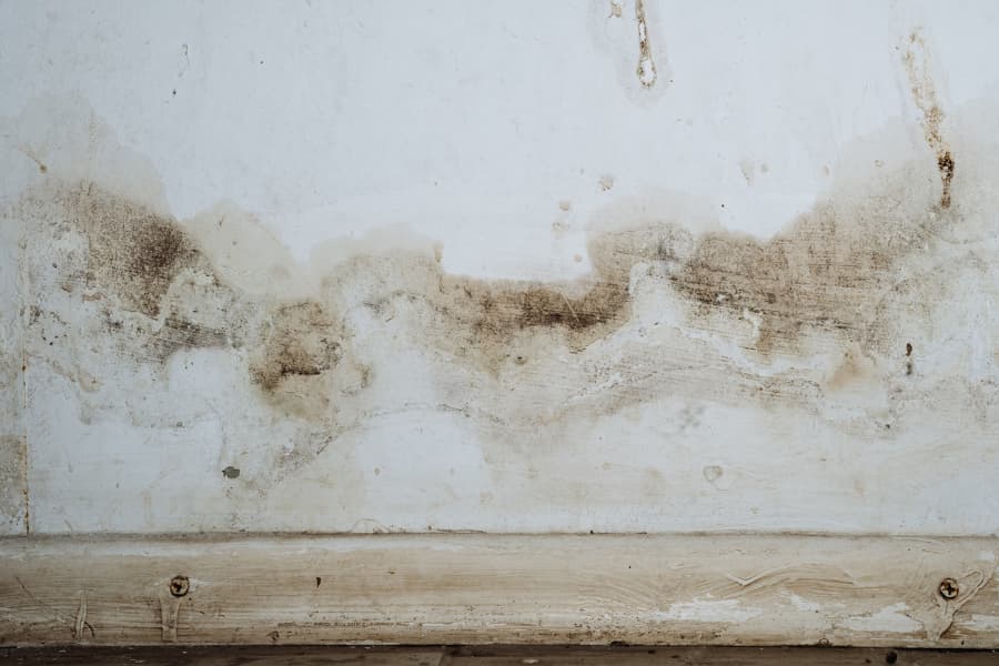 Closeup of basement wall with mold