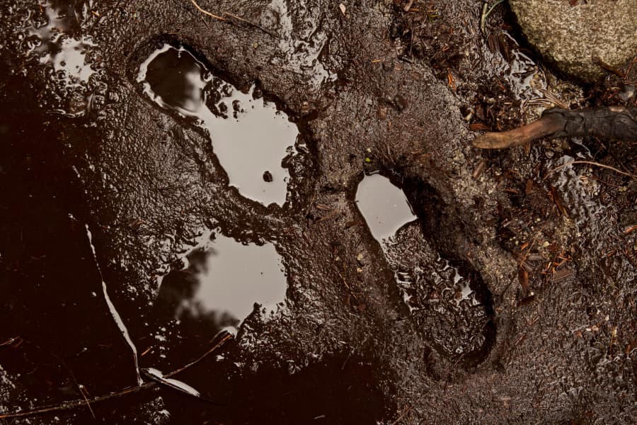 Wet and muddy soil with boot tracks