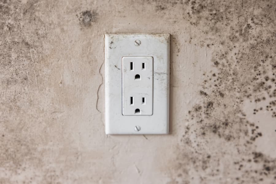 Mold growing near electrical outlet